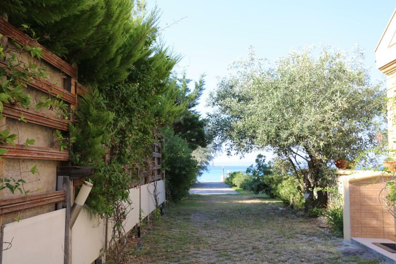 Villa Argo 3 - Beachfront, Big Gardens, Location! Πευκοχώρι Εξωτερικό φωτογραφία