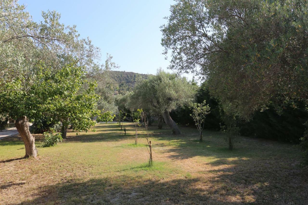 Villa Argo 3 - Beachfront, Big Gardens, Location! Πευκοχώρι Εξωτερικό φωτογραφία