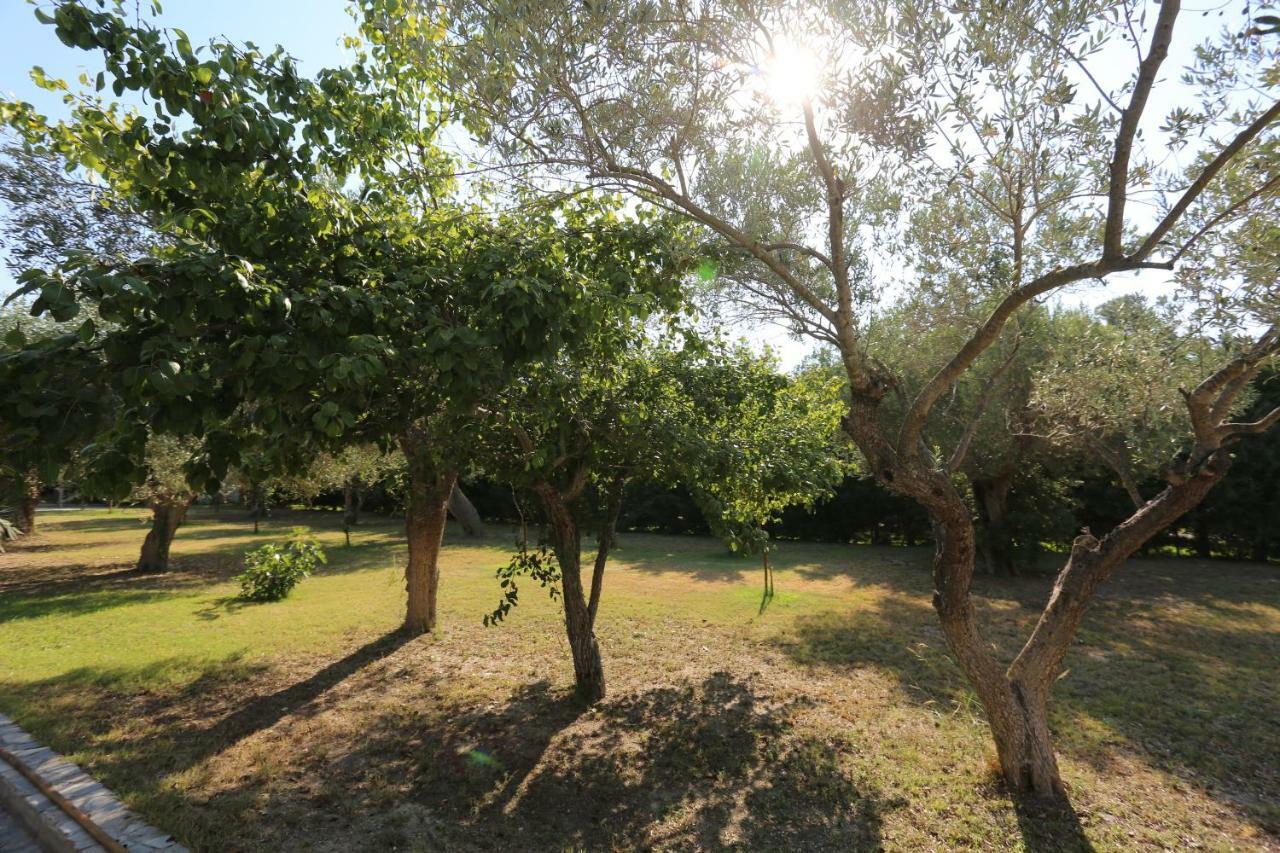 Villa Argo 3 - Beachfront, Big Gardens, Location! Πευκοχώρι Εξωτερικό φωτογραφία
